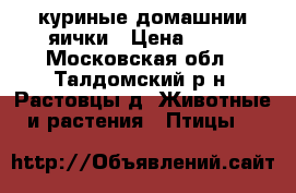 куриные домашнии яички › Цена ­ 80 - Московская обл., Талдомский р-н, Растовцы д. Животные и растения » Птицы   